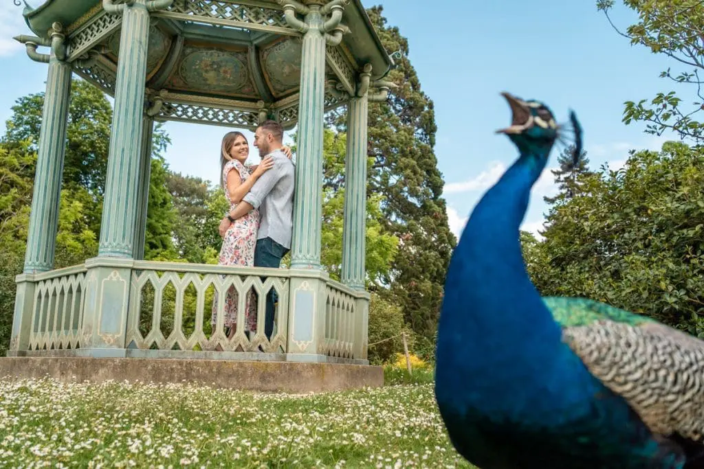 photo couple shooting