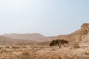 israel photos voyage