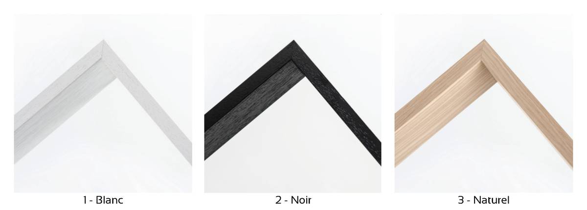 Album d'art collection COTON