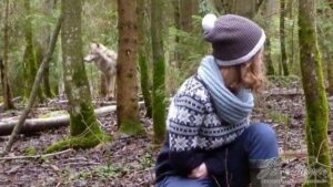 Rencontre-avec-des-loups-foret