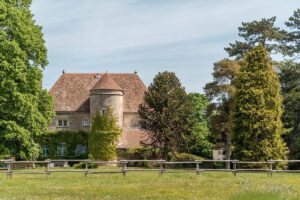 organiser-un-mariage-eco-responsable-photographe-mariage-paris