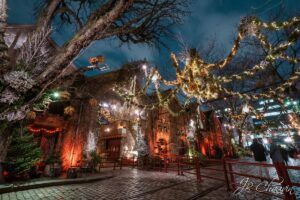 photographe-musee-des-arts-forains-paris