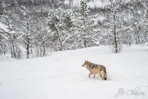 road trip en norvège, jean-Baptiste Chauvin